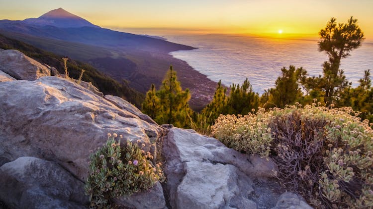 Sun-kissed Tenerife Retreat from £349pp! 🌞🌊