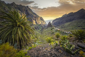 Sun-kissed Tenerife Retreat from £349pp! 🌞🌊